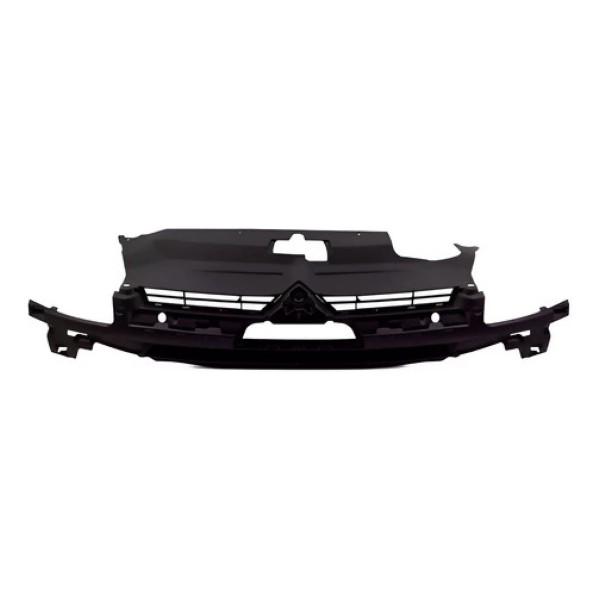 Grade Interna Radiador C4 2007 Ate 2011 2.0 Preto