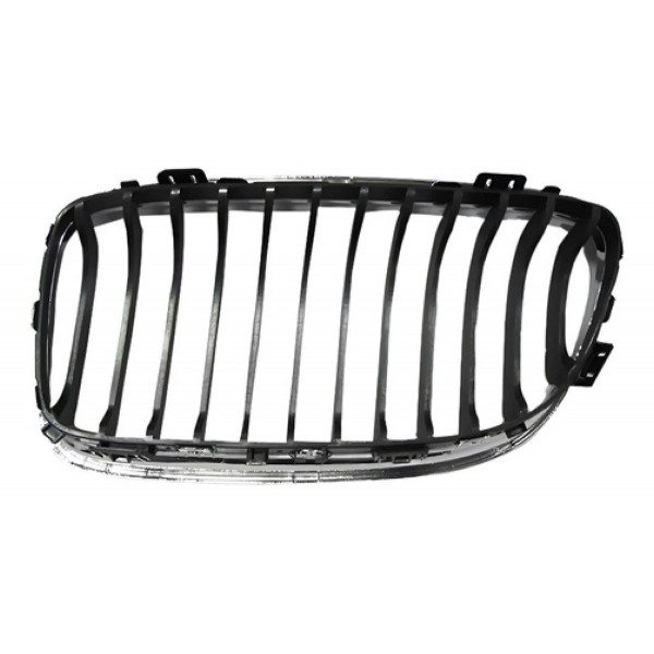 Grade Radiador Bmw 320 2009 2010 2011 2012 Cromada Com Friso