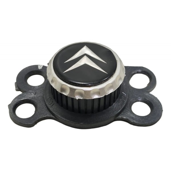 Calota Calotinha Roda Central Aircross + Suporte Preto