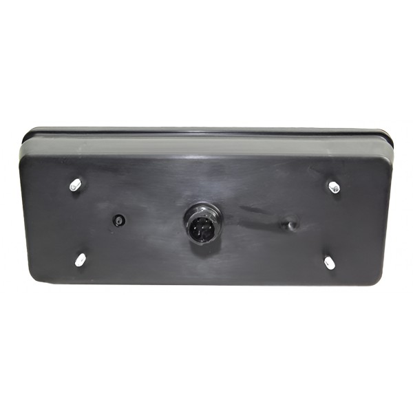 Lanterna Traseira Daily Carroceria Chassi Le Ld Esquerdo/motorista Padrão Original