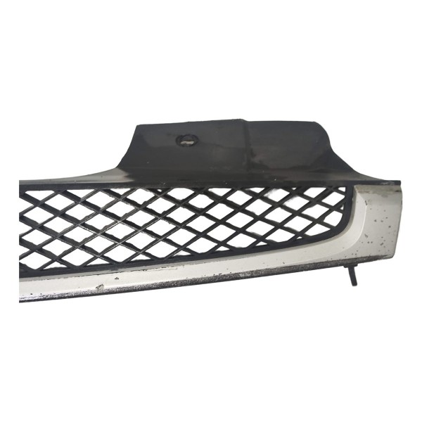 Grade Dianteira Radiador Ford Fiesta 2003/2007 2s658200ae - Preto - Preto