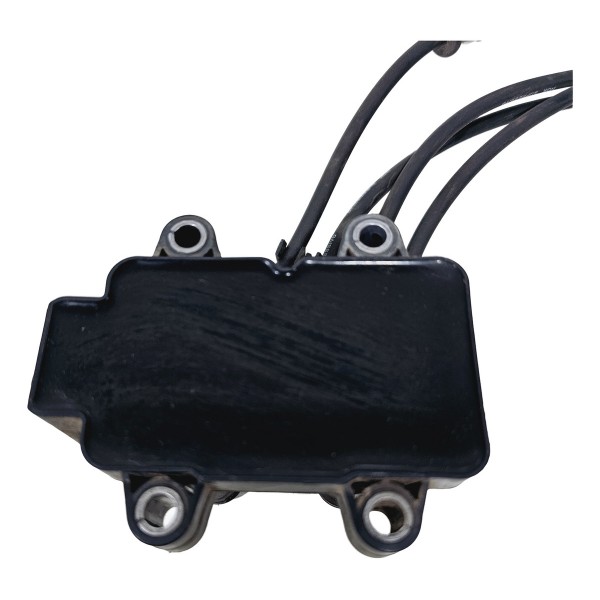 Bobina Igniçao Renault Logan Sandero 2014/2019 224336135r