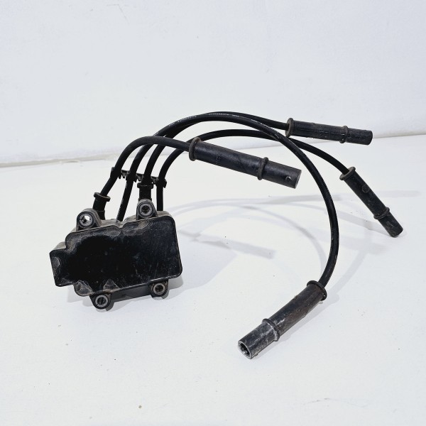 Bobina Igniçao Renault Logan Sandero 2014/2019 224336135r