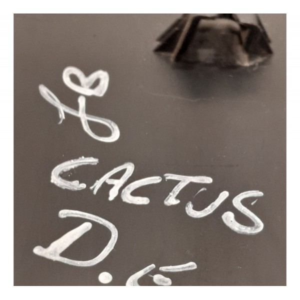 Friso Porta Dianteira Esquerda C4 Cactus 1.6 9824336977 Preto