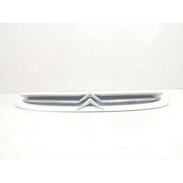 Grade Dianteira Citroën Xsara Picasso 2002 Original  Brilhante