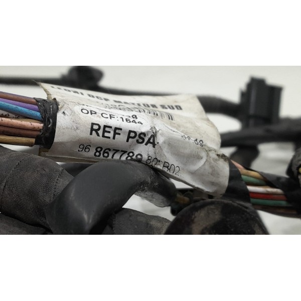 Chicote Motor C4 Picasso/ Grand Picasso 07/14 2.0 16v