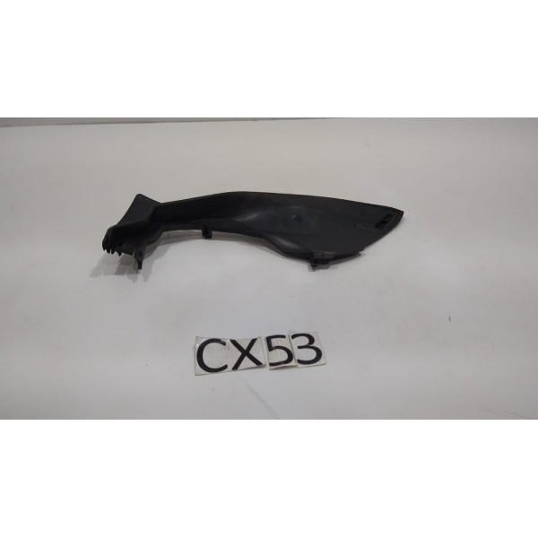 Acabamento Lanterna Traseira Esquerda C4 Pallas 9684609180 N/a