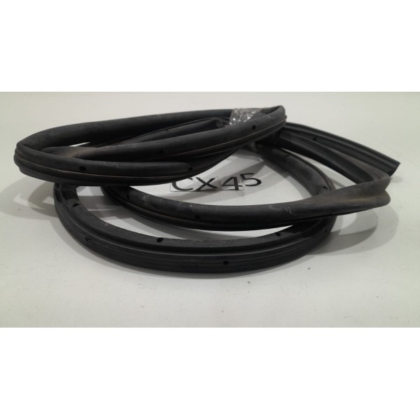 Borracha  Porta Traseira Esquerda Foucs 2009/2013