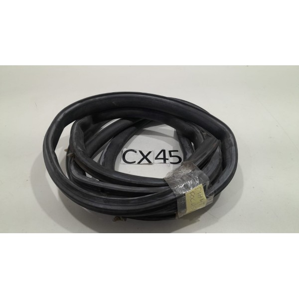 Borracha  Porta Dianteira Direita Foucs 2009/2013