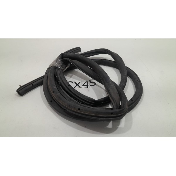 Borracha  Porta Dianteira Esquerda Foucs 2009/2013