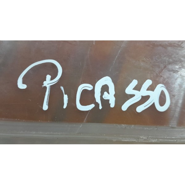 Reservatório Água Radiador Picasso 2.0 2007