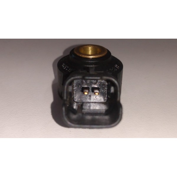 Sensor Detonação Citroen Xsara Xsara Picasso 0261231168